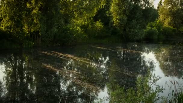 Fluir el río en invierno con rayos de sol — Vídeos de Stock