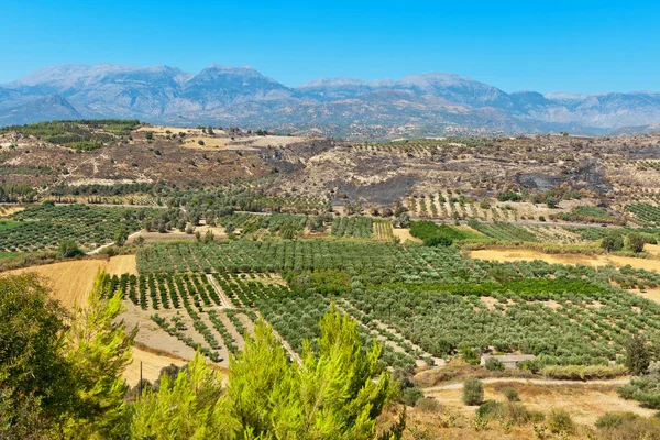 La plaine de Messara. Crète, Grèce — Photo