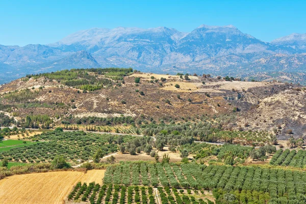 Messara düz. Crete, Yunanistan — Stok fotoğraf