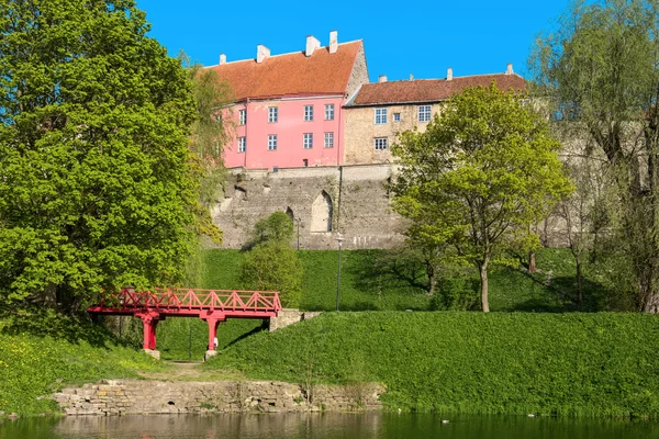 Toompark. Tallinn, Estonia — Stock Photo, Image