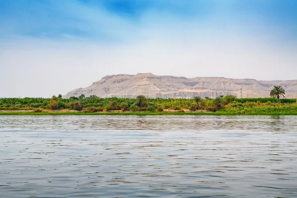 Nile river. Egypt — Stock Photo, Image