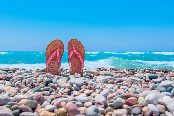 Sandalias en la playa —  Fotos de Stock