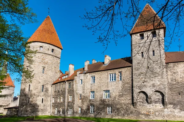 Ziduri vechi. Tallinn, Estonia — Fotografie, imagine de stoc