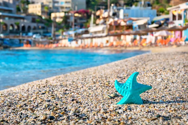 Mögel Blå Stafish Strand Vid Agia Pelagia Kreta Grekland Selektiv — Stockfoto