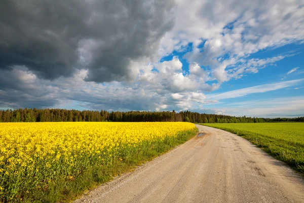 Country road. Estonia — Stock Photo, Image