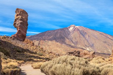 Teide Milli Parkı. Tenerife, Kanarya Adaları