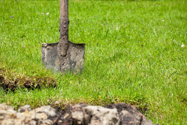 Spade in garden