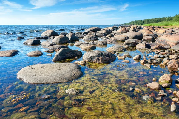 Pobřeží Baltského moře. Estonsko — Stock fotografie