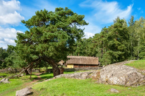 Vikingen dorp. Zweden — Stockfoto