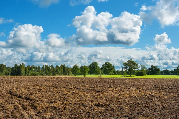 Plowed field — Stock Photo, Image