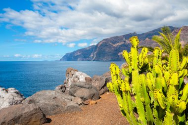 Puerto de Santiago sahili. Tenerife, İspanya