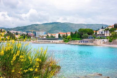 Tepelerdeki evlerle çevrili Lapad Körfezi manzarası. Dubrovnik, Hırvatistan
