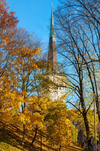 Jesienny park. Tallinn. Estonia — Zdjęcie stockowe