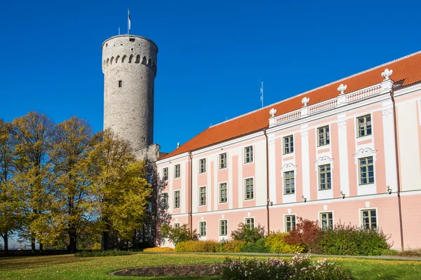 Guvernörer trädgård. Tallinn, Estland — Stockfoto