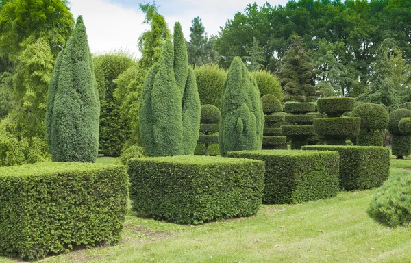 Topiary di taman Stok Foto