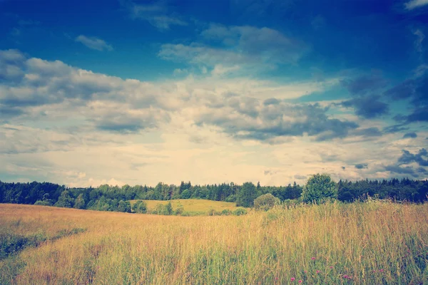 Pradera verde bajo el paisaje cielo dramático — Foto de Stock