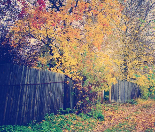 秋の経路 — ストック写真