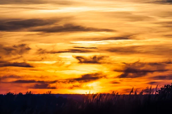 Zonsondergang veld — Stockfoto
