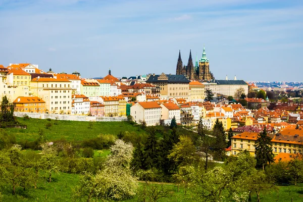 Panorama de Praga com Catedral de São Vito — Fotografia de Stock