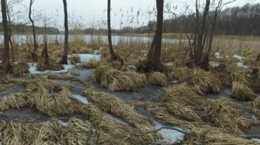 4k. Erken ilkbaharda yabani donmuş gölün hareket panoramik görünümü, manzara.