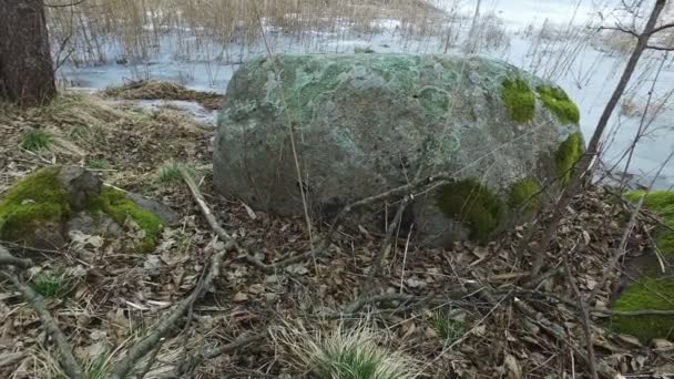 4K. Vue panoramique des rochers avec mousse près du lac gelé au début du printemps . — Video