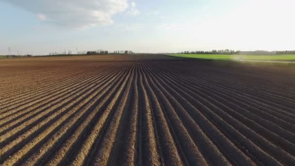 4K. Vuelo sobre campos recién cultivados al atardecer, vista panorámica aérea . — Vídeos de Stock