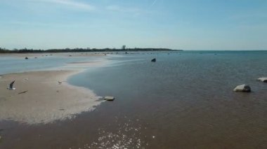 4 k. uçuş ile deniz suda ayakta ve uçan taş bitti kuşlar, havadan panoramik görünümü.