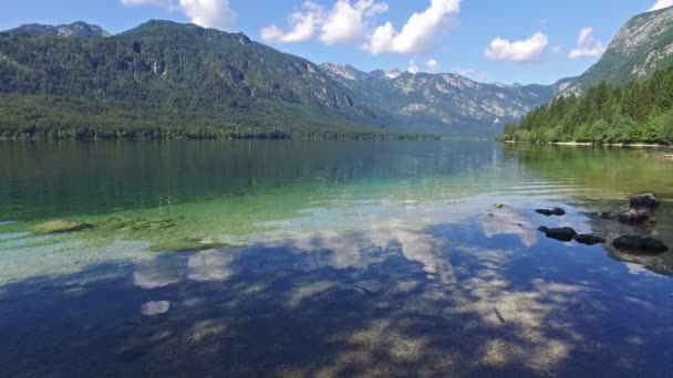 Úžasné Bohinjského jezera v ráno. Hluboko čistou vodou s rybami a nádherná krajina Julských Alp. Triglav National Park, Slovinsko, Evropa. — Stock video