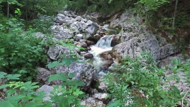 4K. dzika rzeka płynie w górach Alp, czysta niebieska woda i zielony las. Park narodowy Triglav, Alpy Julijskie, Dolina Bohinj, Słowenia, Europa. — Wideo stockowe