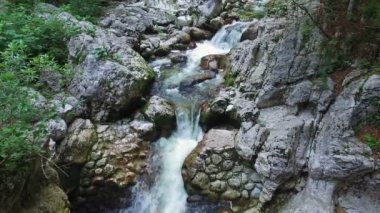 4k. Alpler Dağları'nda vahşi nehir, temiz mavi su ve yeşil orman akar. Triglav Ulusal Parkı, Julian Alpleri, Bohinj vadisi, Slovenya, Avrupa.