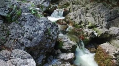 4k. Alpler Dağları'nda Vahşi nehir, temiz mavi su ve yeşil orman Hareket görünümü. Triglav Ulusal Parkı, Julian Alpleri, Bohinj vadisi, Slovenya, Avrupa.