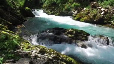 4k. Yabani Radovna nehir Vintgar Gorge akar. Temiz mavi su ve yeşil orman. Triglav Milli Parkı, Julian Alpleri, Bled vadisi, Slovenya, Avrupa. Hareket görünümü.