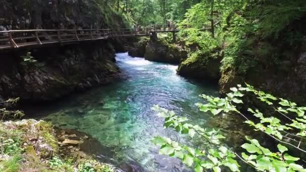 4K. Radovna river flows in Vintgar Gorge. People have a rest on the bridge. Clean blue water and green forest. Triglav National Park, Julian Alps, Bled valley, Slovenia, Europe. — Stock Video