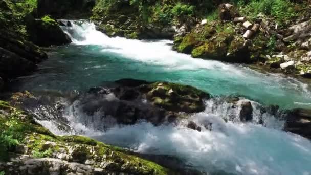 4K. Rio Radovna selvagem flui no desfiladeiro de Vintgar. Água azul limpa e floresta verde. Triglav National Park, Julian Alps, Bled Valley, Eslovénia, Europa . — Vídeo de Stock