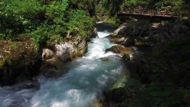 4k. ラドヴナ川はヴィントガル渓谷を流れます。人々が歩き回っている。きれいな青い水と緑の森。トリグラフ国立公園、ジュリアンアルプス、ブレッドバレー、スロベニア、ヨーロッパ. — ストック動画