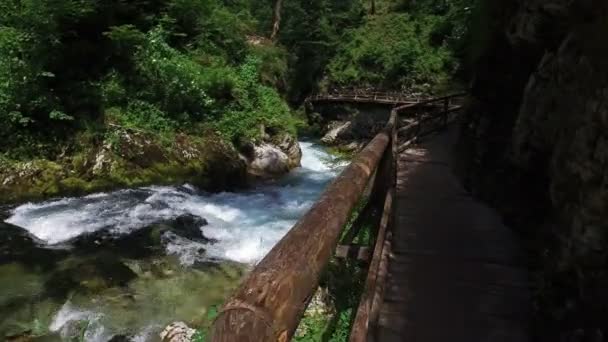 4K. spacer po wąwozie Vintgar. Rzeka Wild Radovna przepływa w pobliżu drewnianego mostu. Czysta niebieska woda i zielony las. Park narodowy Triglav, Alpy Julijskie, Dolina Bled, Słowenia, Europa. — Wideo stockowe