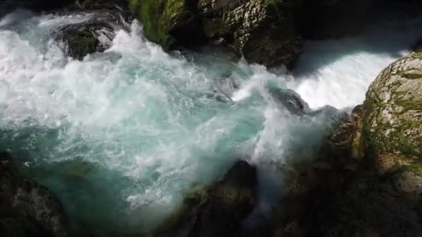 4K. Río Radovna salvaje fluye en la garganta de Vintgar. Agua azul limpia y bosque verde. Parque Nacional de Triglav, Alpes Julianos, Valle de Bled, Eslovenia, Europa . — Vídeos de Stock