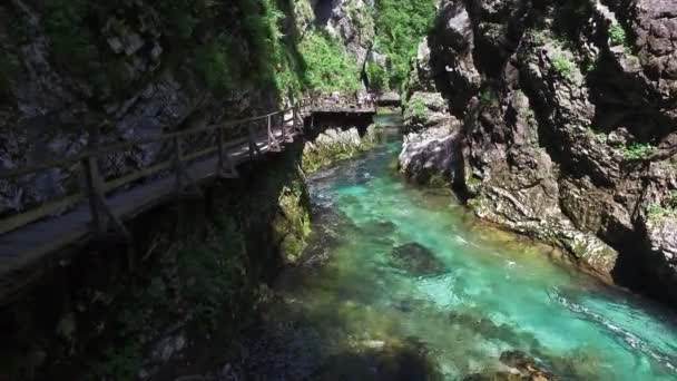 4K. rzeka RADOVNA przepływa w wąwozie Vintgar. Ludzie chodzą. Czysta niebieska woda i zielony las. Park narodowy Triglav, Alpy Julijskie, Dolina Bled, Słowenia, Europa. — Wideo stockowe
