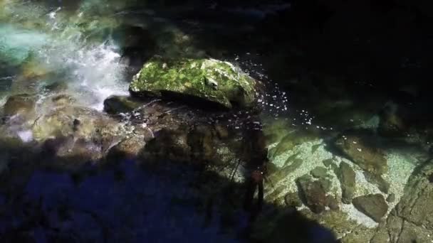 4k. Wild folyó folyik Vintgar Gorge. Tiszta mélykék víz. Triglav Nemzeti Park, Júliai-Alpok, Bled-völgy, Szlovénia, Európa. — Stock videók