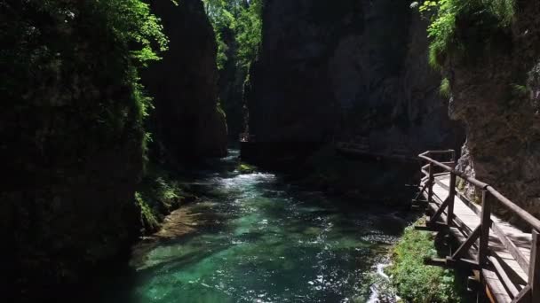 4k. Radovna folyó folyik Vintgar Gorge. Az emberek járkálni. Tiszta kék víz és zöld erdő. Triglav Nemzeti Park, Júliai-Alpok, Bled-völgy, Szlovénia, Európa. — Stock videók