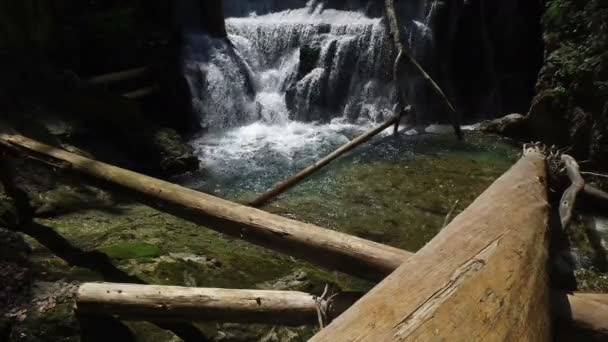 4K. wodospad w wąwozie Vintgar na rzece Radovna. Czysta niebieska woda i drewniane kłody. Park narodowy Triglav, Alpy Julijskie, Dolina Bled, Słowenia, Europa. — Wideo stockowe