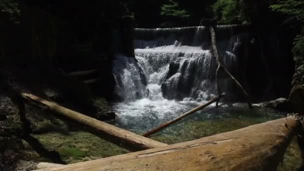 4K. Vista de la cascada en la garganta de Vintgar en el río Radovna. Agua azul limpia y troncos de madera. Parque Nacional de Triglav, Alpes Julianos, Valle de Bled, Eslovenia, Europa . — Vídeo de stock