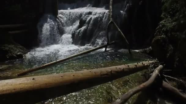 4K. Vista de la cascada en la garganta de Vintgar en el río Radovna. Agua azul limpia y troncos de madera. Parque Nacional de Triglav, Alpes Julianos, Valle de Bled, Eslovenia, Europa . — Vídeos de Stock