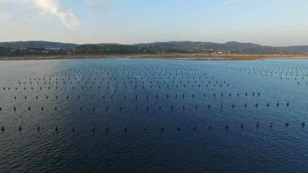 4K. Volo sopra il luogo di pesca con galleggianti al tramonto in mare. Gli uccelli sono seduti sui carri. Vista panoramica aerea. Secovlje Soline, Slovenia . — Video Stock