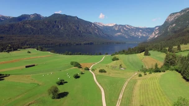 4 k. πτήση πάνω από την εκπληκτική λίμνη Bohinj κοιλάδα το πρωί. Καταπράσινες πλαγιές και ο δρόμος προς το χωριό Στάρα Fuzina στις Ιουλιανές Άλπεις. Εθνικό Πάρκο Triglav, Σλοβενία, Ευρώπη. — Αρχείο Βίντεο