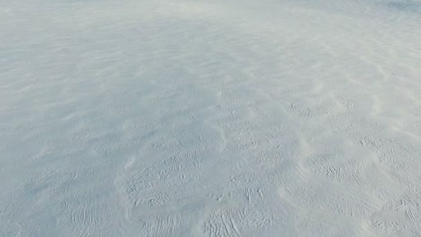 Penerbangan di atas lapangan salju di musim dingin, panorama pandangan udara. Pola salju dan tekstur. Salju gurun . — Stok Video