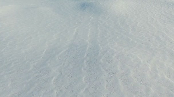 Vlucht boven sneeuw velden in winter, luchtfoto panoramisch uitzicht. Sneeuw patroon en textuur. Sneeuw woestijn. — Stockvideo