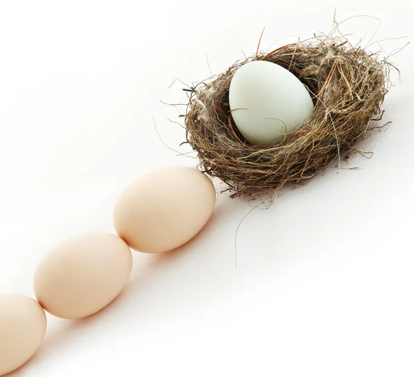 Um ovo dentro do ninho e outro na fila — Fotografia de Stock
