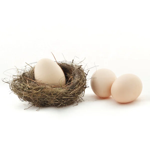 Un huevo dentro del nido y dos huevos fuera. — Foto de Stock