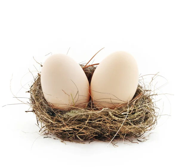 Dos huevos dentro del nido — Foto de Stock